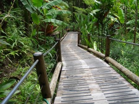Boardwalk Botanical Garden Hawaii